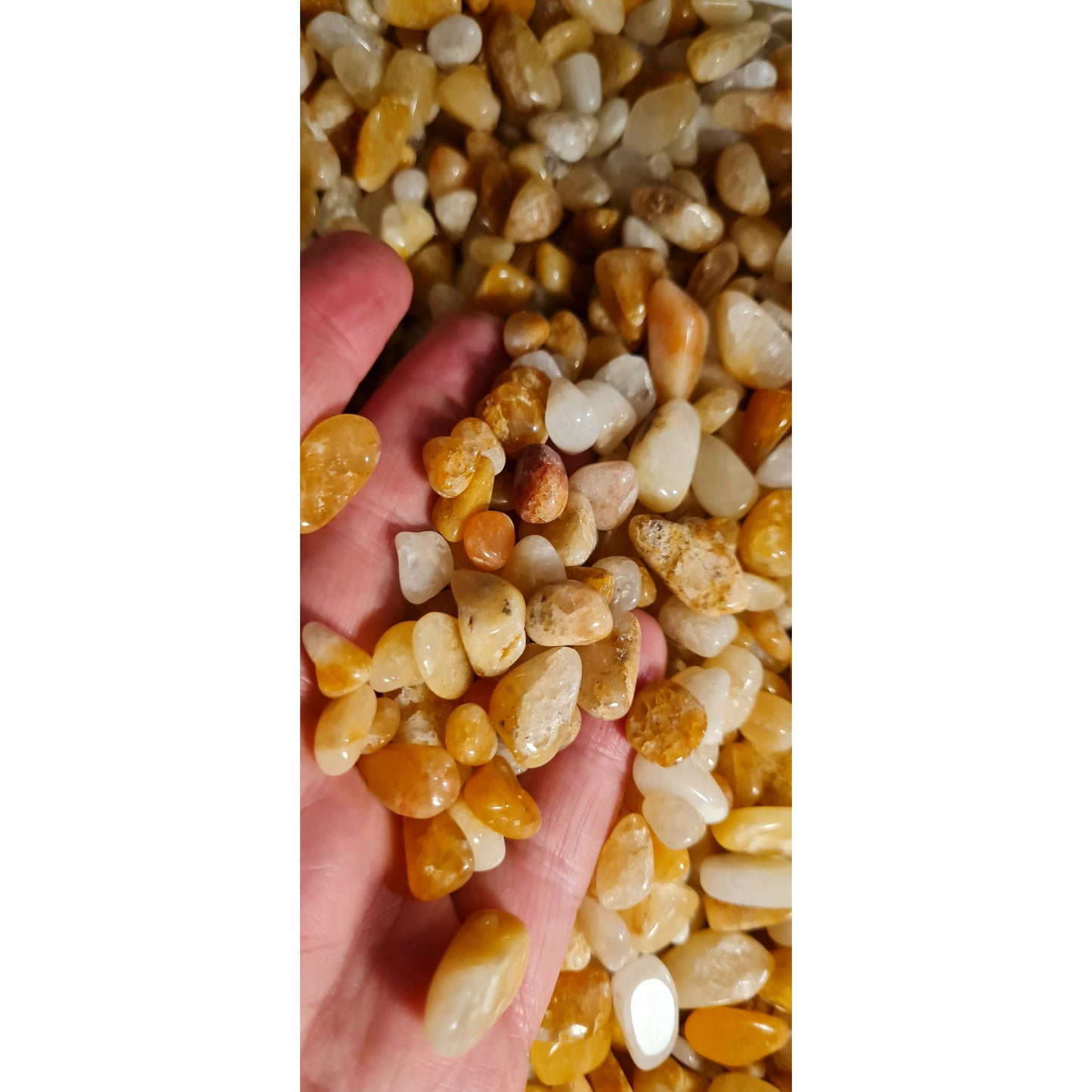 Golden healer minitrumlade