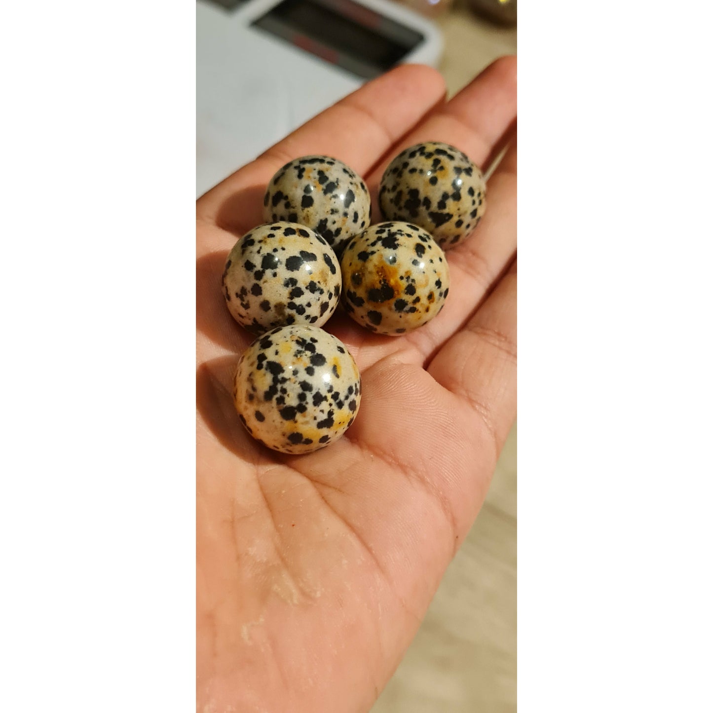 Dalmatiner Jaspis miniklot