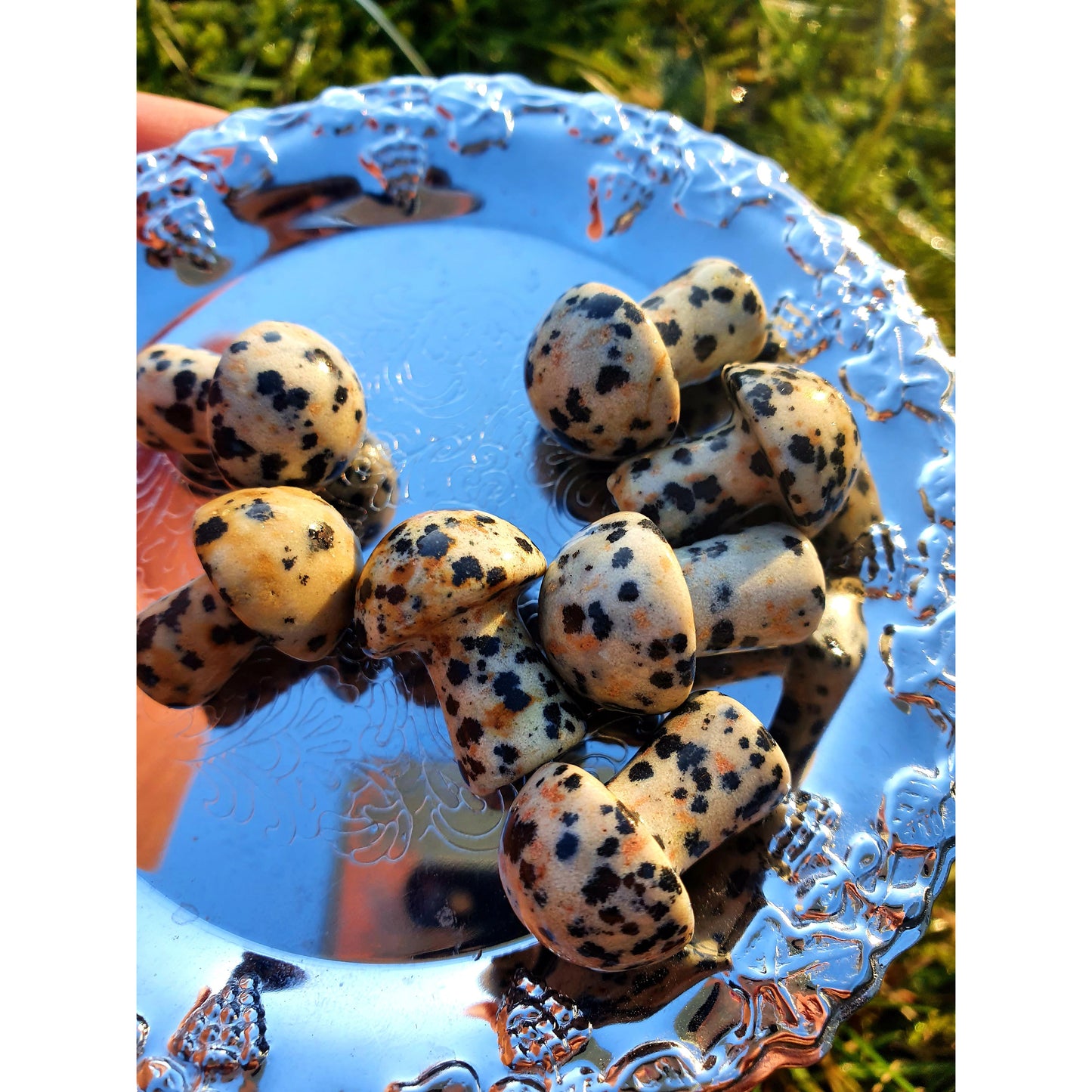 Dalmatiner jaspis sten, minisvamp, Nyhet!