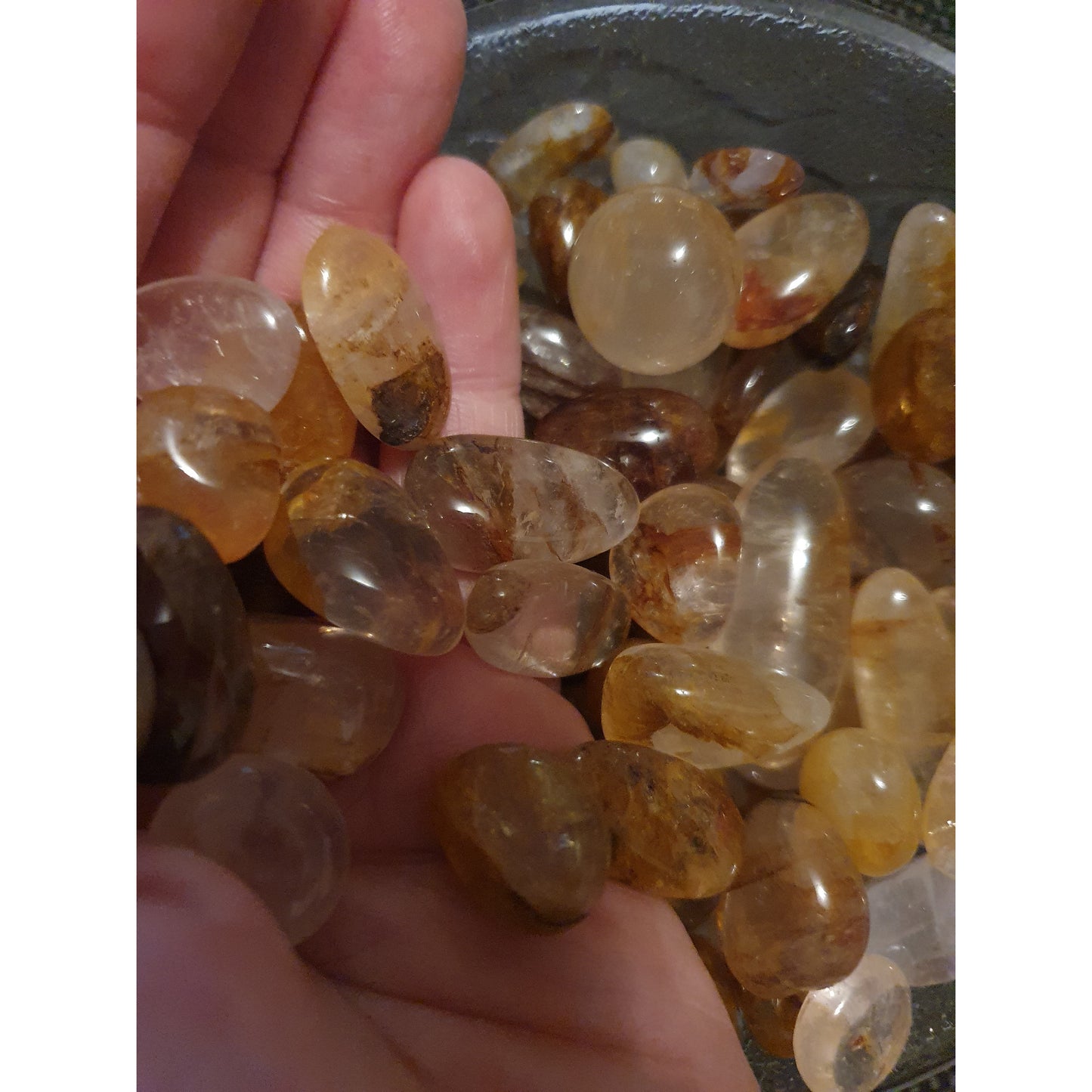 Golden healer trumlade, S