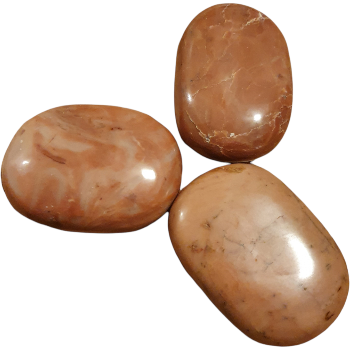Rosa opal Handsten