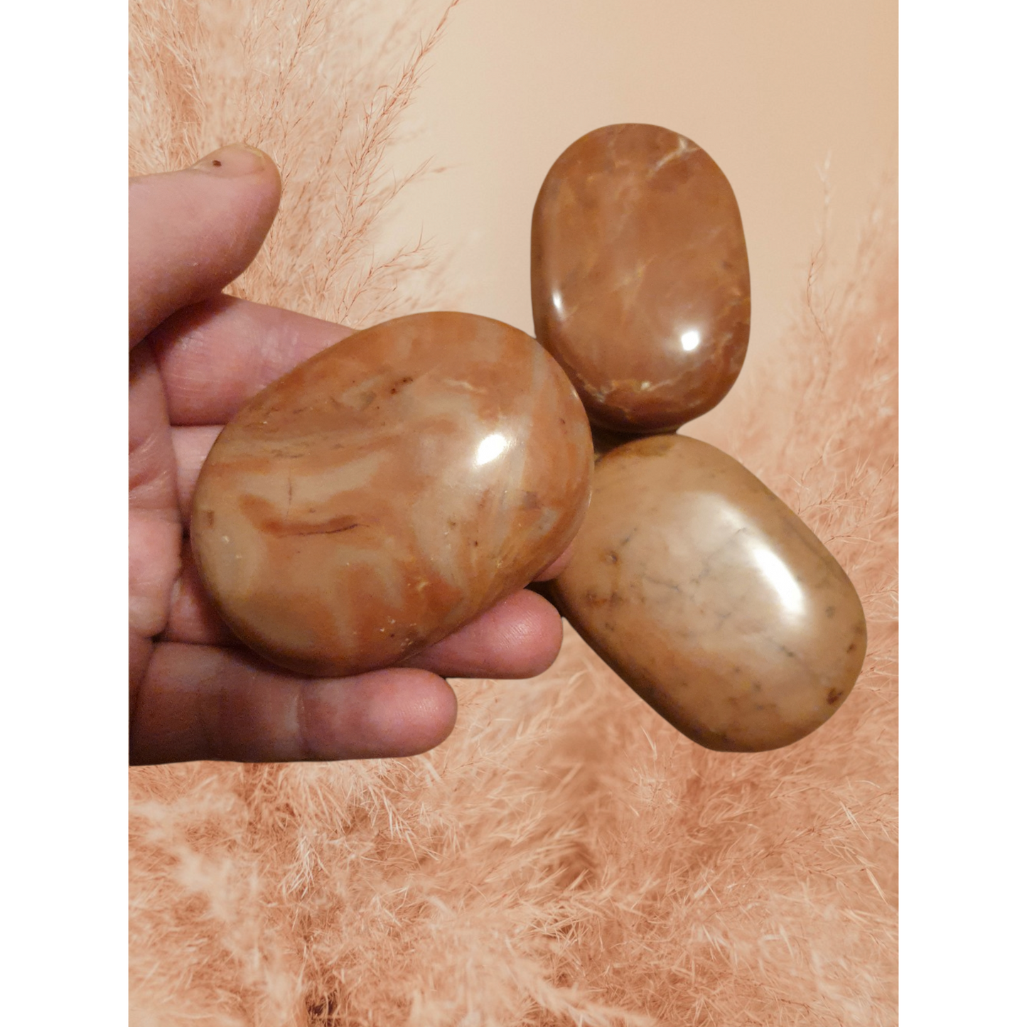 Rosa opal Handsten