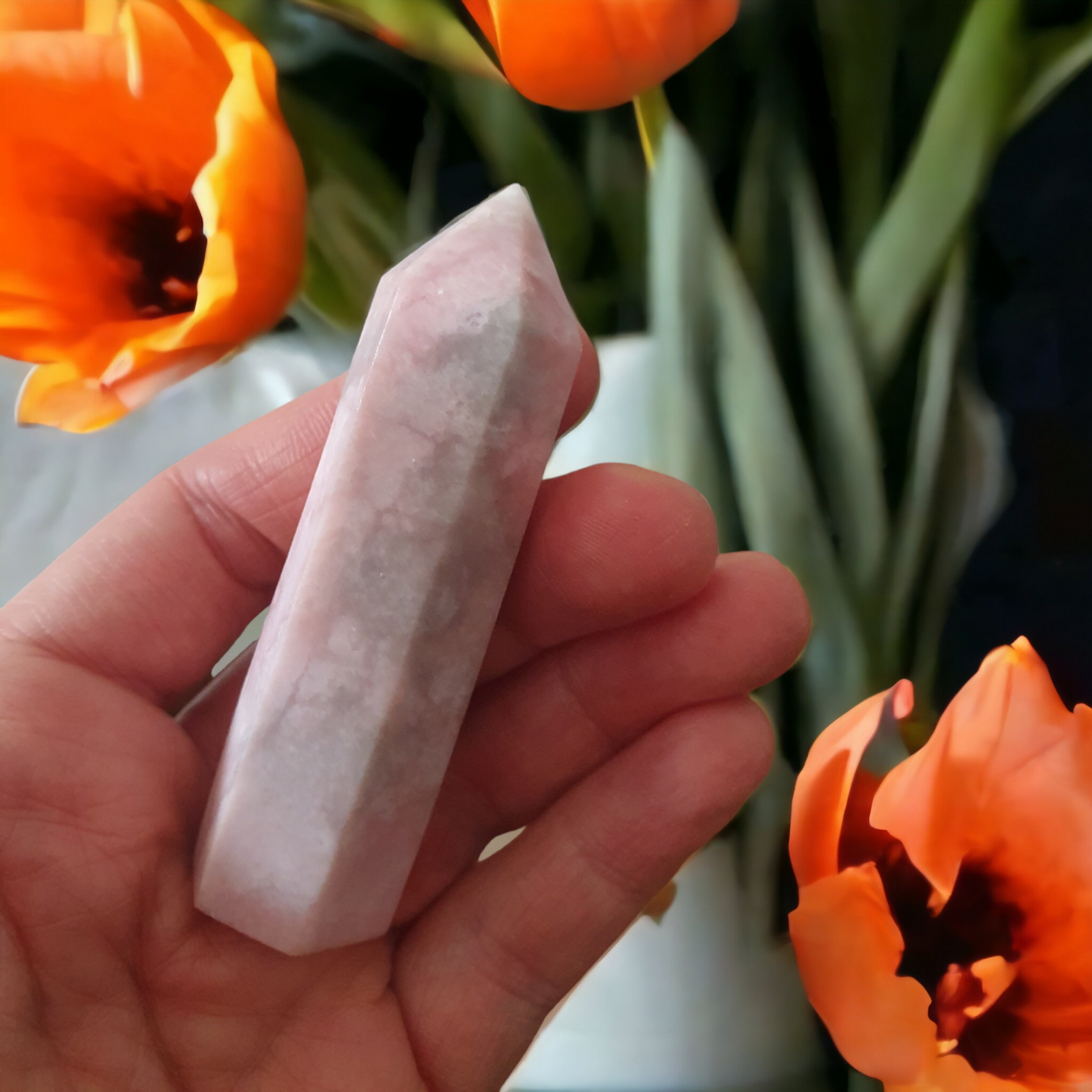 Rosa opal, torn/spets, nyhet