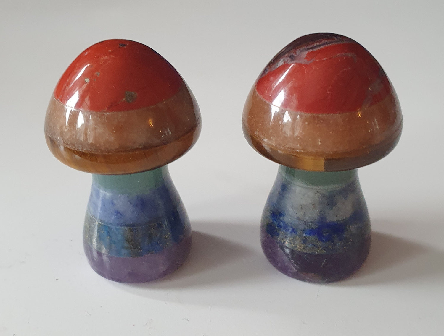 Chakra svamp