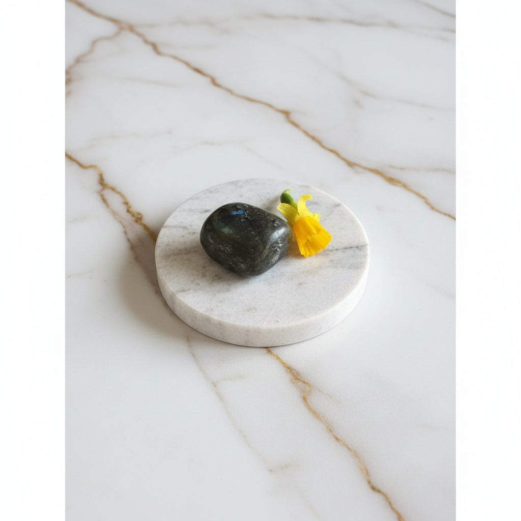 Lejonet astro kristallkit