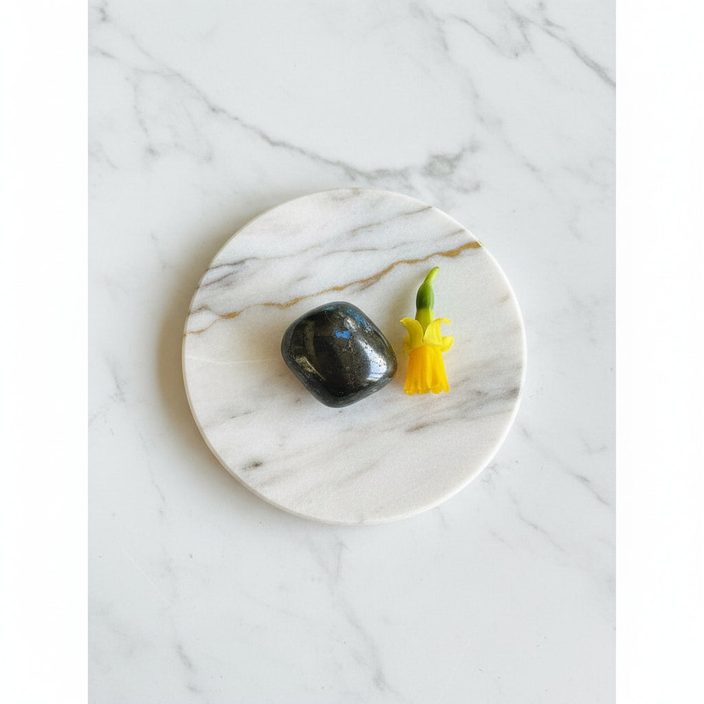 Lejonet astro kristallkit