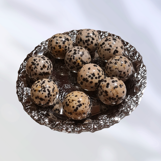 Dalmatiner Jaspis miniklot