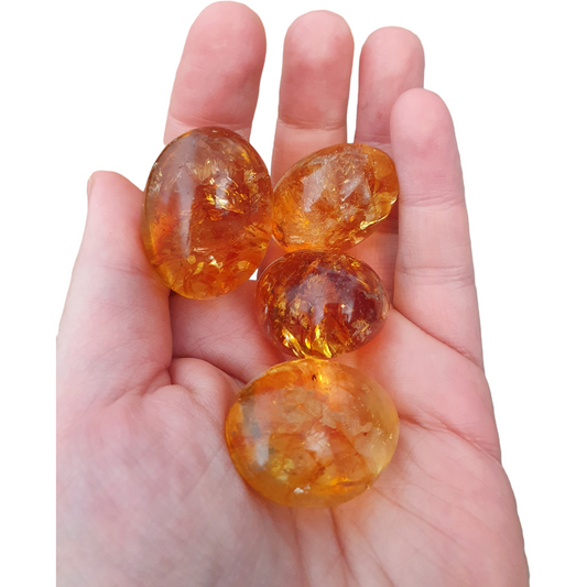 Citrin HTA XL trumlad